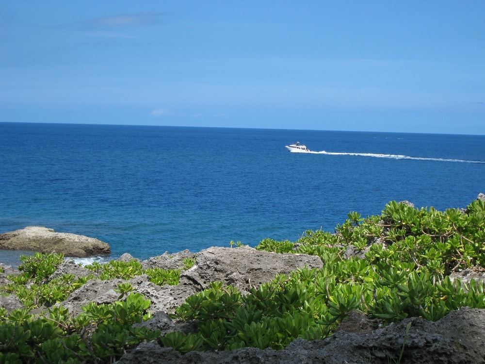 img_3155.jpg
